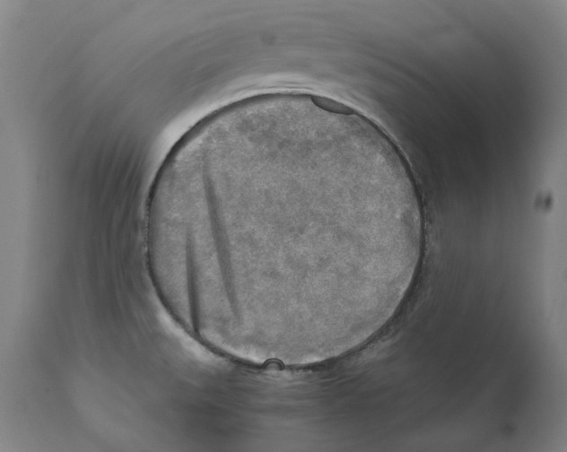 X0000110731527200907101416