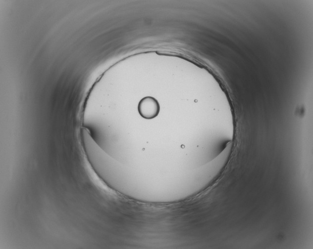 X0000110731528200907101416