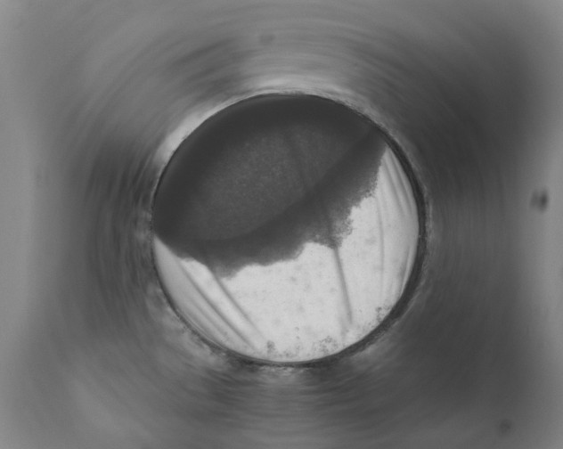 X0000110731529200907101416
