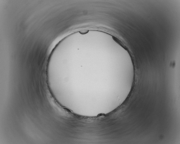 X0000110731530200907101416