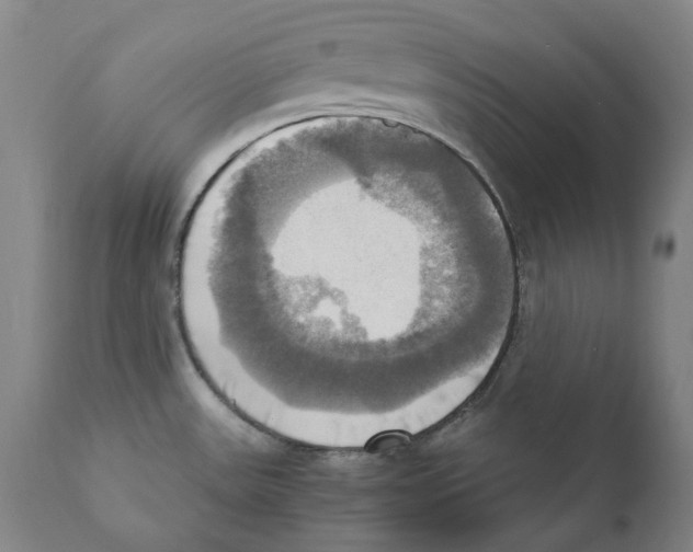 X0000110731531200907101416