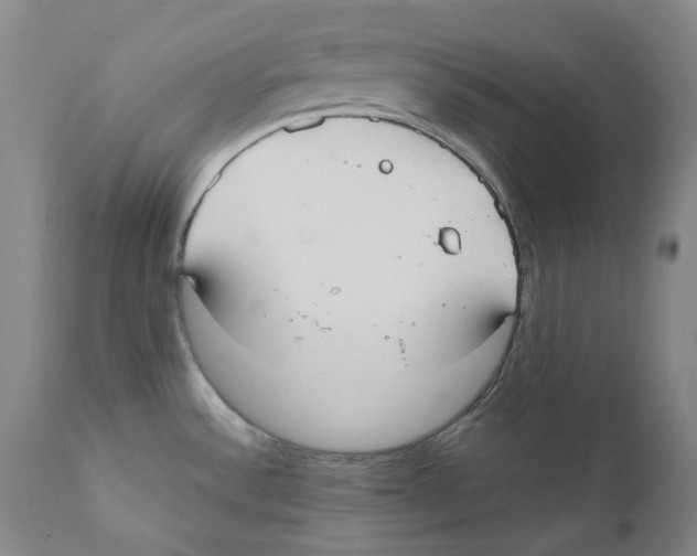 X0000110731532200907101416