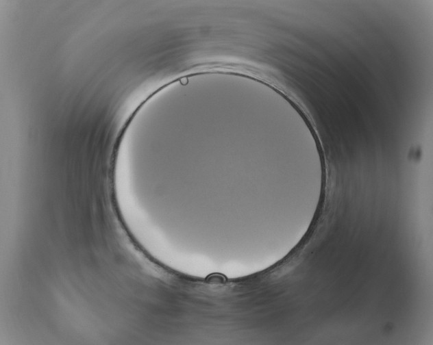 X0000110731533200907101416