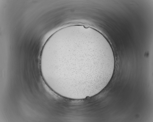 X0000110731535200907101416