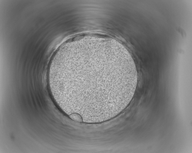 X0000110730002200907241237