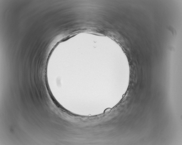 X0000110730003200907241237