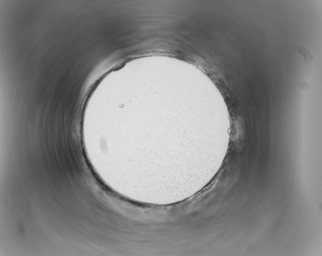 X0000110730004200907241237