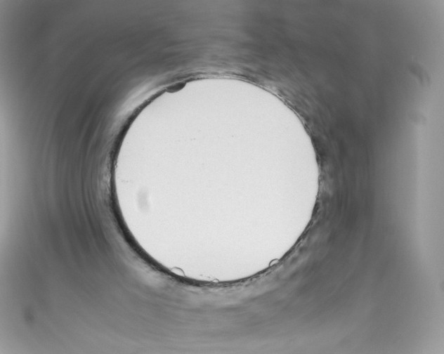 X0000110730005200907241237