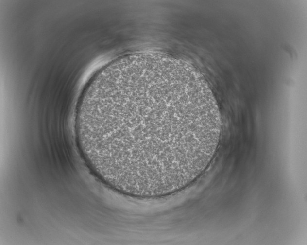 X0000110730006200907241237