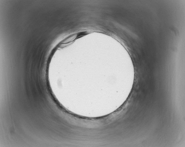 X0000110730008200907241237