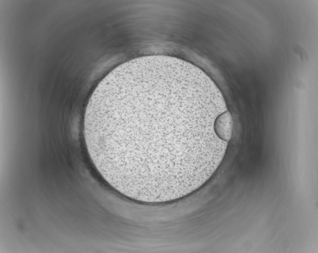 X0000110730010200907241237