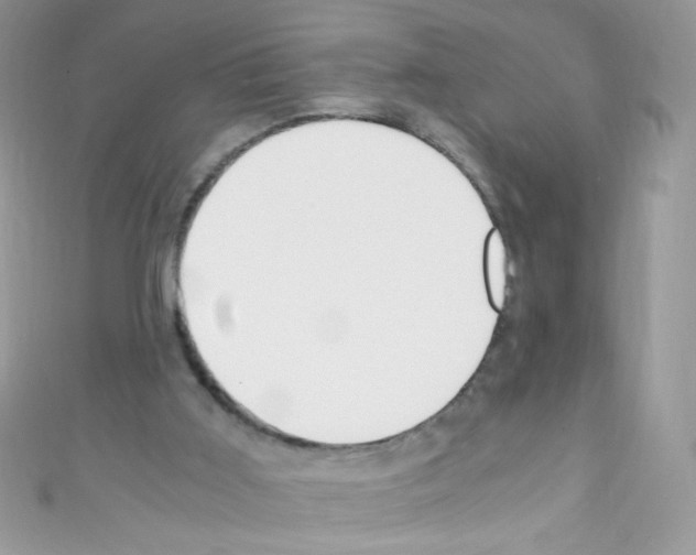 X0000110730011200907241237