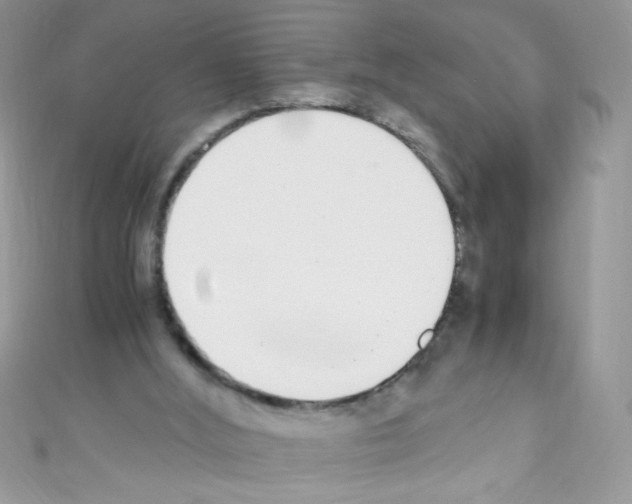X0000110730012200907241237