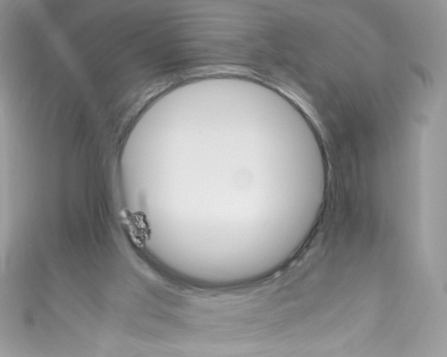 X0000110730013200907241237