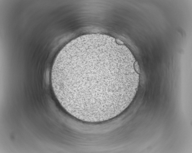 X0000110730014200907241237