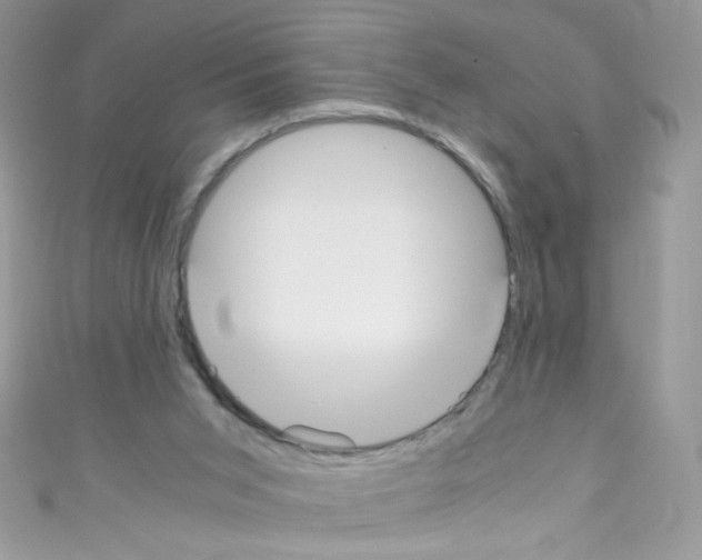 X0000110730015200907241237