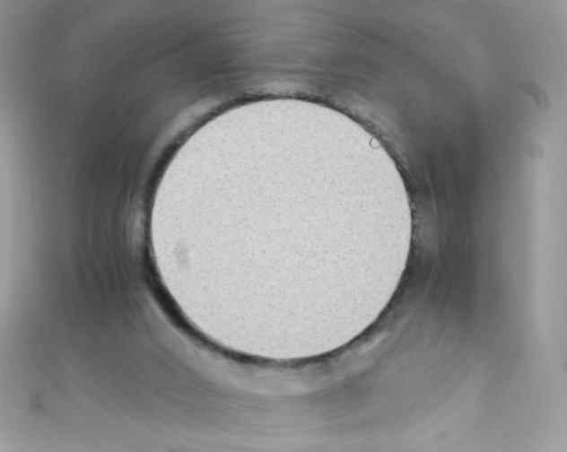 X0000110730016200907241237