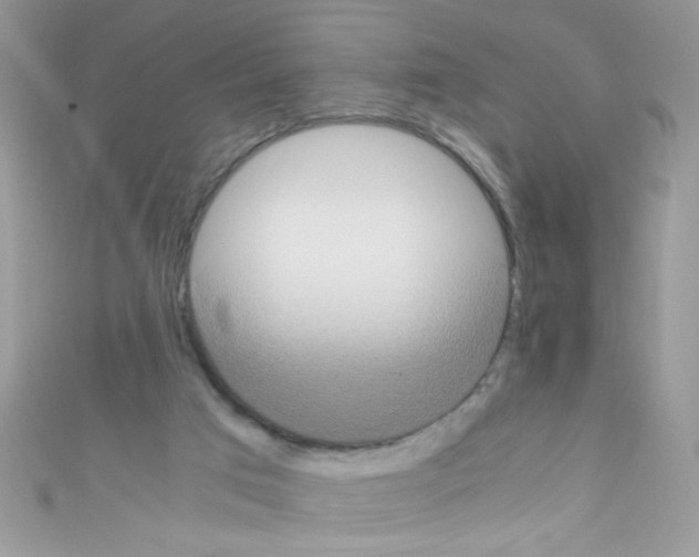 X0000110730017200907241237