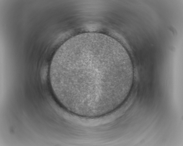 X0000110730018200907241237