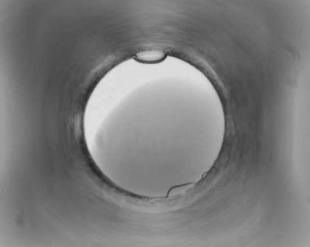 X0000110730019200907241237