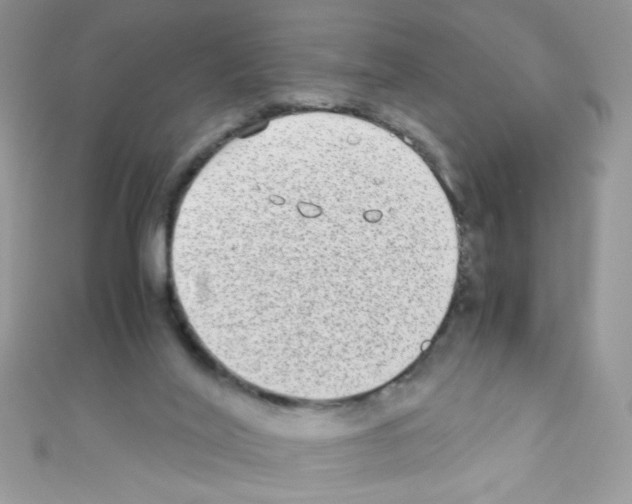 X0000110730020200907241237