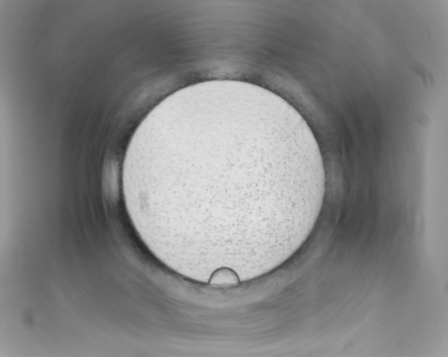 X0000110730022200907241236