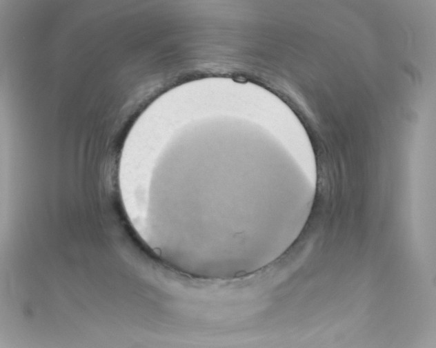 X0000110730023200907241236