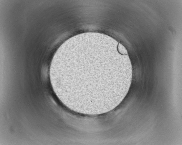 X0000110730024200907241236