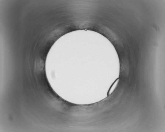 X0000110730025200907241236