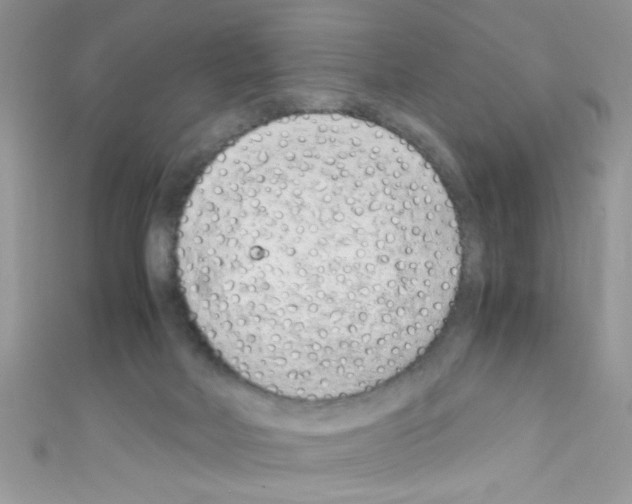 X0000110730026200907241236