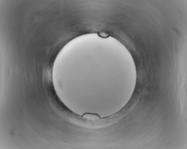 X0000110730027200907241236