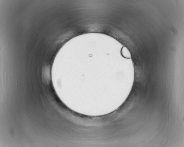 X0000110730028200907241236