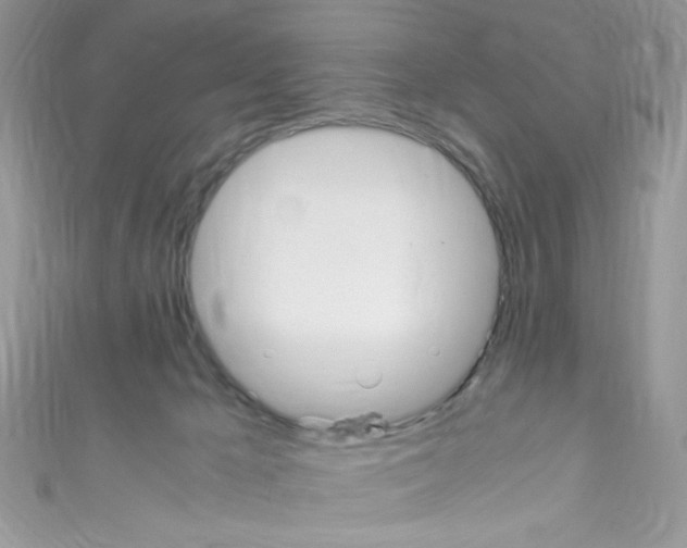 X0000110730029200907241236