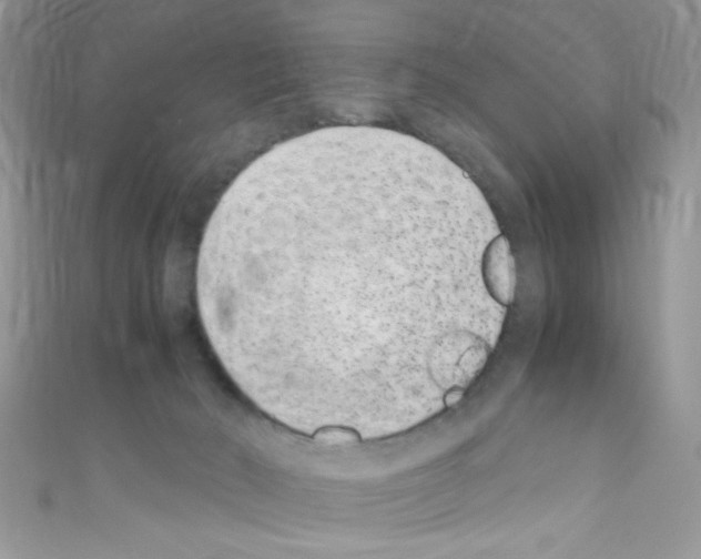 X0000110730030200907241236