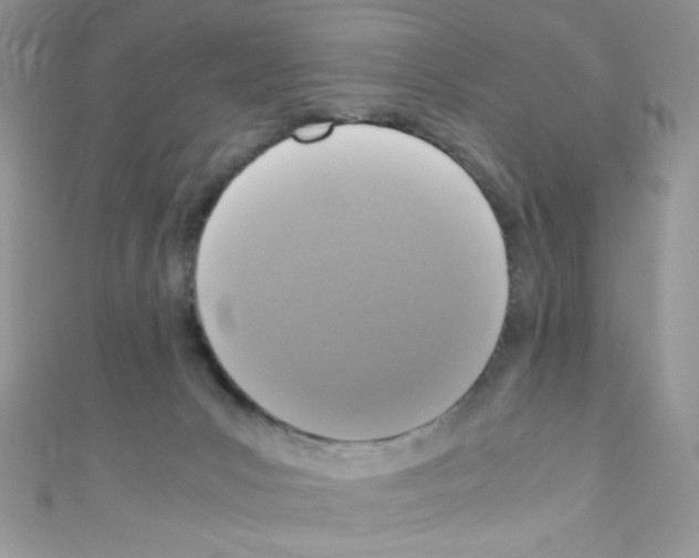 X0000110730031200907241236
