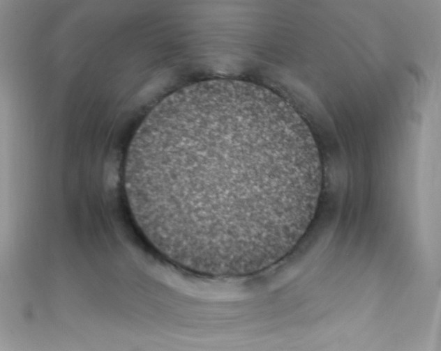 X0000110730032200907241236