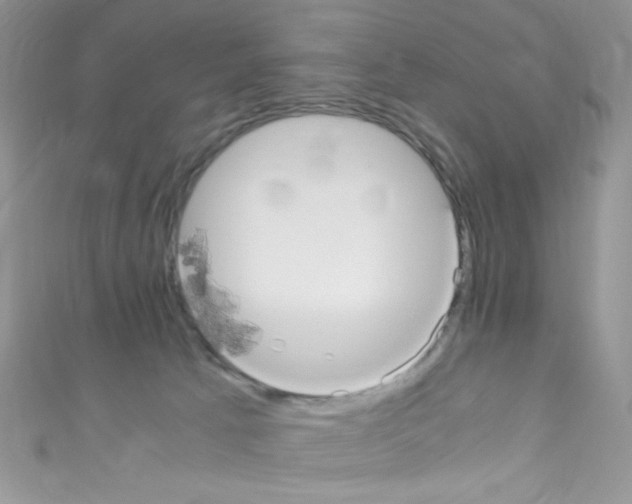X0000110730033200907241236