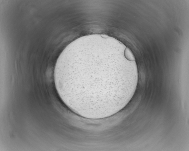 X0000110730034200907241236