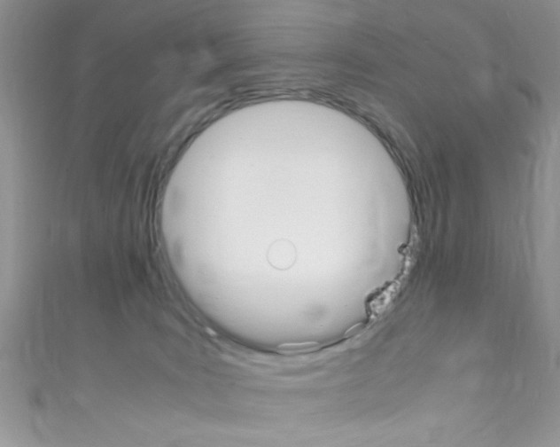 X0000110730035200907241236