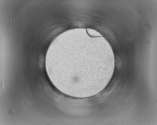 X0000110730036200907241236