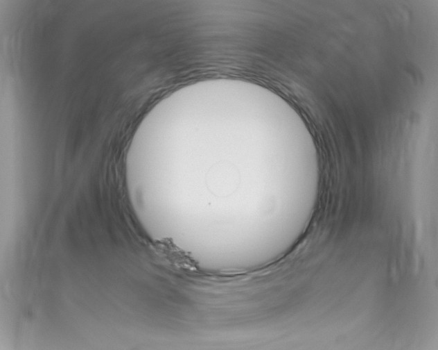 X0000110730037200907241236