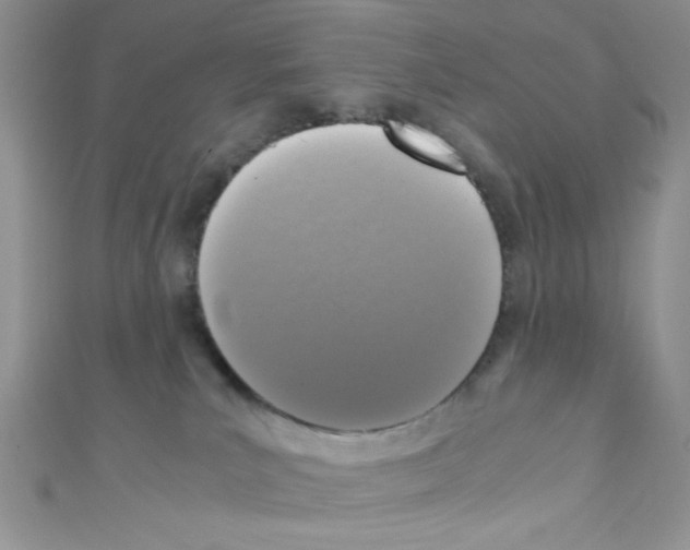 X0000110730039200907241236