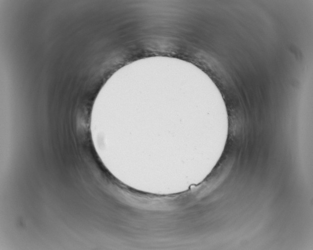 X0000110730040200907241236