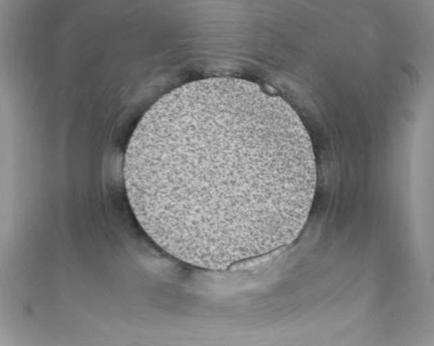 X0000110730041200907241236