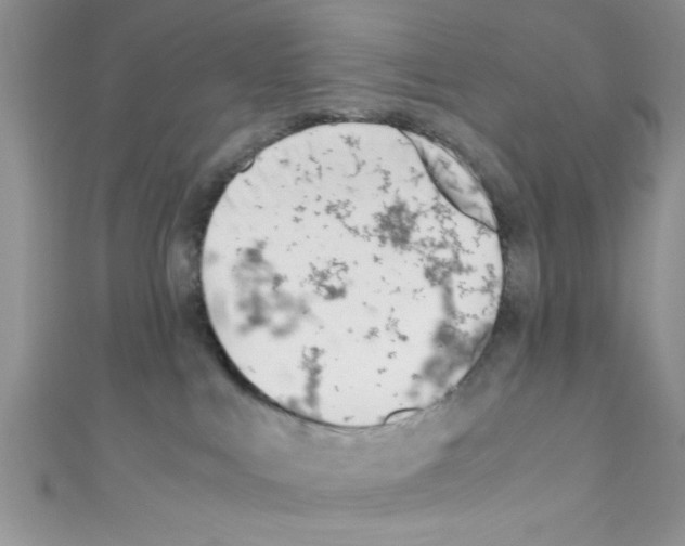 X0000110730043200907241236