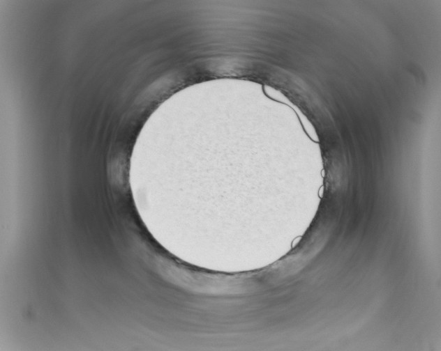 X0000110730044200907241236