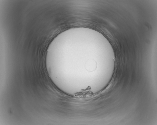 X0000110730045200907241236