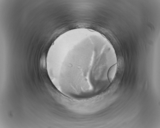 X0000110730046200907241236