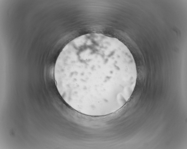 X0000110730047200907241236