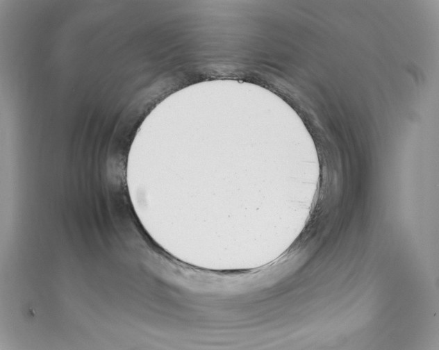 X0000110730048200907241236